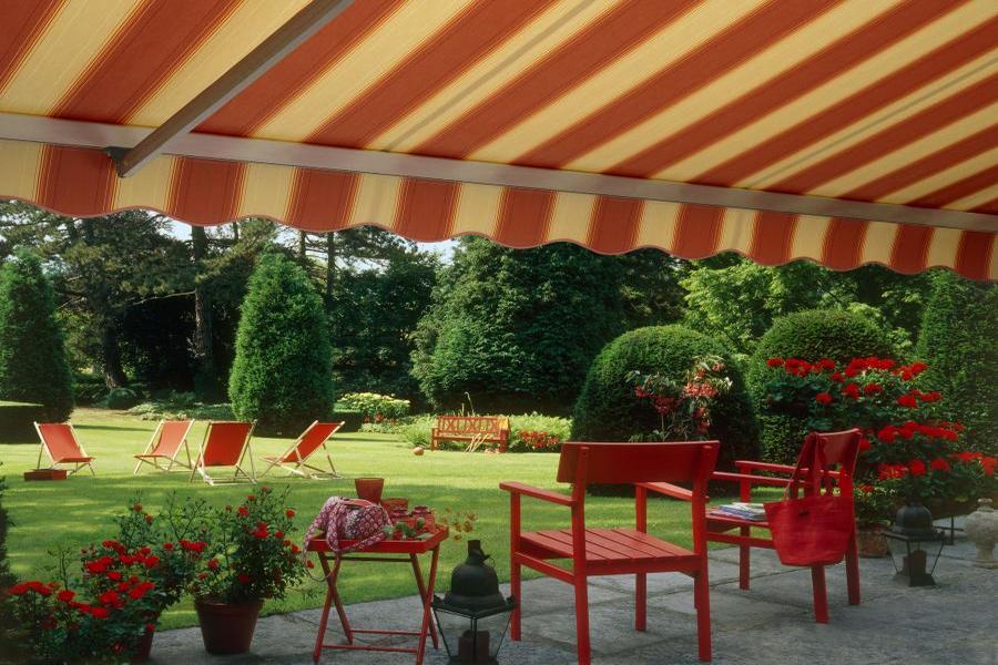 naves dlja dvora.jpg